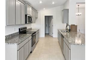 258 VERNY GROVE LANE, LEESBURG, FL 34748 - MLS#MFRO6369552