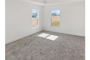 258 VERNY GROVE LANE, LEESBURG, FL 34748 - MLS#MFRO6369552