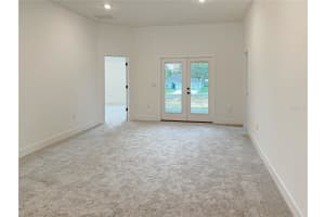 254 VERNY GROVE LANE, LEESBURG, FL 34748 - MLS#MFRO6369556