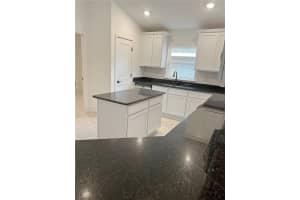 254 VERNY GROVE LANE, LEESBURG, FL 34748 - MLS#MFRO6369556