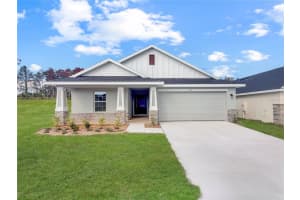 263 VERNY GROVE LANE LANE, LEESBURG, FL 34748 - MLS#MFRO6369642