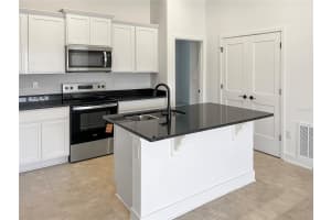 263 VERNY GROVE LANE LANE, LEESBURG, FL 34748 - MLS#MFRO6369642