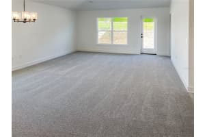 263 VERNY GROVE LANE LANE, LEESBURG, FL 34748 - MLS#MFRO6369642