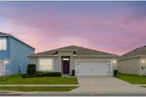 1315 FOX SQUIRREL DRIVE, DAVENPORT, FL 33897 - MLS#MFRO6369652