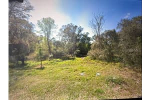 TOMS POND RD, EUSTIS, FL 32726 - MLS#MFRO6369690
