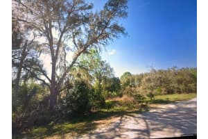 TOMS POND RD, EUSTIS, FL 32726 - MLS#MFRO6369690