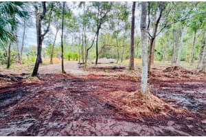 8401 AMELIA TRAIL, KISSIMMEE, FL 34747 - MLS#MFRO6369754