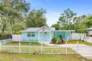 245 S Rhodes St, MOUNT DORA