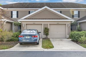 10127 TRANQUILITY WAY, TAMPA, FL 33625 - MLS#MFRO6369790