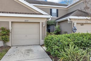 10127 TRANQUILITY WAY, TAMPA, FL 33625 - MLS#MFRO6369790