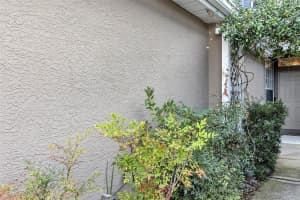 10127 TRANQUILITY WAY, TAMPA, FL 33625 - MLS#MFRO6369790