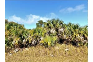 0 BANNOCK CIRCLE, NORTH PORT, FL 34288 - MLS#MFRO6369935