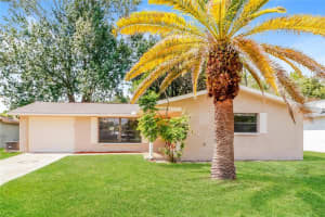 4248 Raccoon Loop, NEW PORT RICHEY