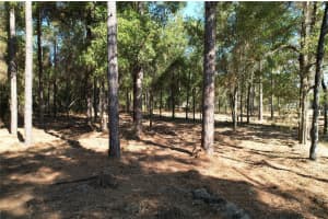 SW 18TH PL, OCALA, FL 34481 Sold 01/30/26