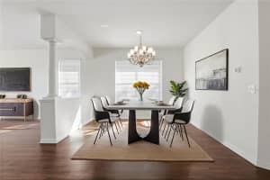 19043 NEW PASSAGE BOULEVARD, LAND O LAKES, FL 34638 - MLS#MFRO6370476