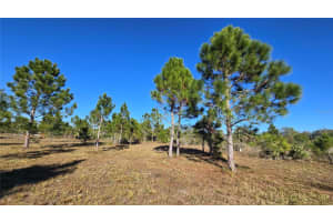 17718 266TH STREET, OKEECHOBEE, FL 34972 - MLS#MFRO6370509