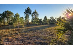 17718 266TH STREET, OKEECHOBEE, FL 34972 - MLS#MFRO6370509