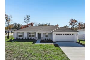 32 PECAN PASS TRAIL, OCALA, FL 34472 - MLS#MFRO6370529