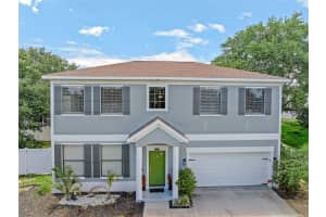 1291 BLACKRUSH DRIVE, TARPON SPRINGS, FL 34689 - MLS#MFRO6370580