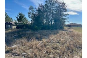 243 GLADIOLA COURT, KISSIMMEE, FL 34759 - MLS#MFRO6370697