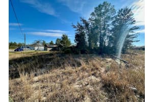 243 GLADIOLA COURT, KISSIMMEE, FL 34759 - MLS#MFRO6370697