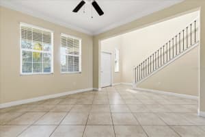 12036 CARDINAL FLOWER DRIVE, RIVERVIEW, FL 33579 - MLS#MFRO6370738