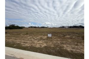 10023 WHITE EGRET DRIVE, THONOTOSASSA, FL 33592 - MLS#MFRO6370764