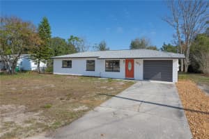 707 MAPLE AVENUE, FRUITLAND PARK, FL 34731 - MLS#MFRO6371092