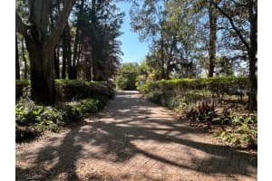 2844 MIDSUMMER DRIVE, WINDERMERE, FL 34786 - MLS#MFRO6371115