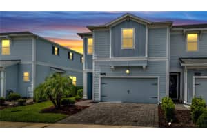 2916 SATIRE STREET, KISSIMMEE, FL 34746 - MLS#MFRO6371119