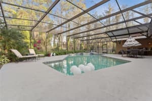 12028 GRAY BIRCH CIRCLE, ORLANDO, FL 32832 - MLS#MFRO6371134