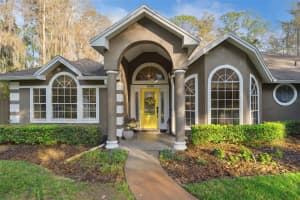 12028 GRAY BIRCH CIRCLE, ORLANDO, FL 32832 - MLS#MFRO6371134