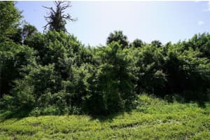 10 WARRINGTON BOULEVARD, PORT CHARLOTTE, FL 33954 - MLS#MFRO6371243