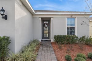 1989 SPRING SHOWER CIRCLE, KISSIMMEE, FL 34744 - MLS#MFRO6371277