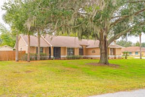 14334 RAINTREE BOULEVARD, GRAND ISLAND, FL 32735 - MLS#MFRO6371451