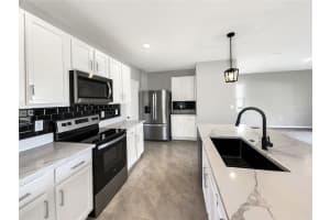 3013 TANSY STREET, TAVARES, FL 32778 - MLS#MFRO6371459