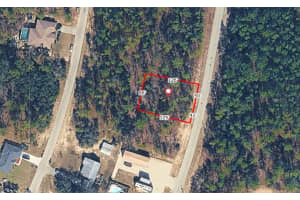 9844 EMELLIA AVENUE, CITRUS SPRINGS, FL 34433 Sold 03/02/26