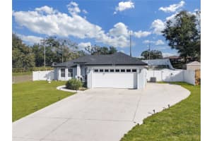 311 MORNINGVIEW DRIVE, EUSTIS, FL 32726 - MLS#MFRO6371583