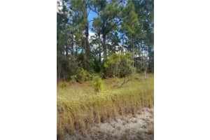 334 SUN COURT, LAKE PLACID, FL 33852 - MLS#MFRO6371642