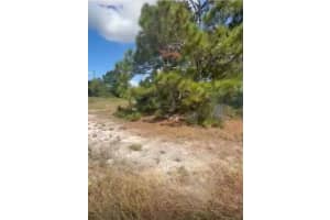 334 SUN COURT, LAKE PLACID, FL 33852 - MLS#MFRO6371642