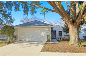 6025 SPRING CREEK COURT, MOUNT DORA, FL 32757 - MLS#MFRO6371686