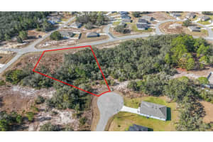 320 BOWFIN LANE, KISSIMMEE, FL 34759 - MLS#MFRO6371742