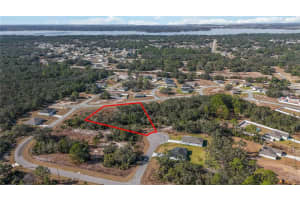 320 BOWFIN LANE, KISSIMMEE, FL 34759 - MLS#MFRO6371742