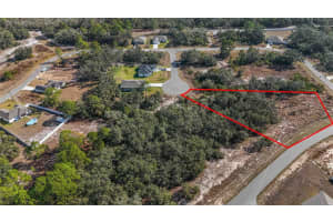 320 BOWFIN LANE, KISSIMMEE, FL 34759 - MLS#MFRO6371742