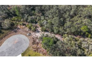 320 BOWFIN LANE, KISSIMMEE, FL 34759 - MLS#MFRO6371742