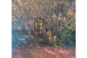 8973 BEE WAY, DUNNELLON, FL 34434 - MLS#MFRO6371918