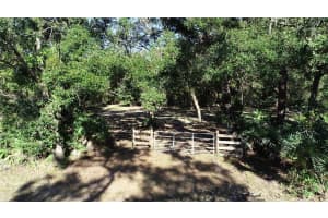 S COUNTY ROAD 13, ORLANDO, FL 32833 - MLS#MFRO6372129