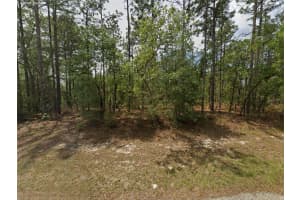 1022 CARY DRIVE, CITRUS SPRINGS, FL 34434 - MLS#MFRO6372328