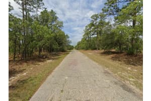 1022 CARY DRIVE, CITRUS SPRINGS, FL 34434 - MLS#MFRO6372328