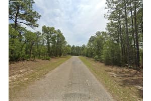 1022 CARY DRIVE, CITRUS SPRINGS, FL 34434 - MLS#MFRO6372328